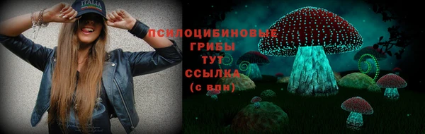 mix Алексин