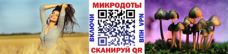 Псилоцибиновые грибы MAGIC MUSHROOMS цена Магадан